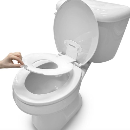 Ingenuity Flip & Sit Potty Seat